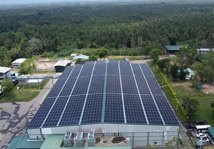 Responsible Energy Consumption